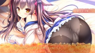 《 Lump of Sugar/縁りて此の葉は紅に/すずな》おかず確定！秘めた欲望をオスは我慢できない！2次元大好きだ！黒髪ネコミミ美少女が黒タイツで誘惑！お尻をかかえて正常位でぶちこんで！抜き