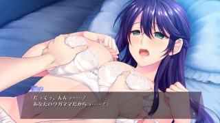 《おっぱい/エロゲ/エロゲー》ドッピュウン！香り立つ女の子を今日も明日も何度も味合う！たまらん！あなたのワガママだからっ!ブラの上からおっぱいもまれても許しちゃう女上司！抜き