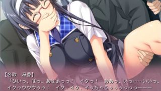 清楚な真面目眼鏡っ子が電車で痴漢行為！抑えたよがり声がたまらん！抜き